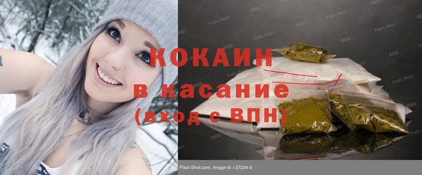 амф Вяземский