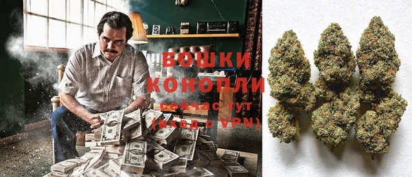 амф Вяземский
