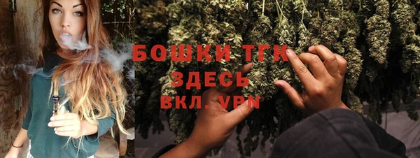 амф Вяземский