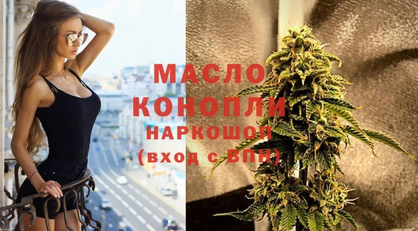 амф Вяземский