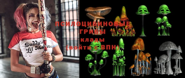амф Вяземский