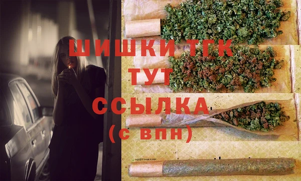 амф Вяземский
