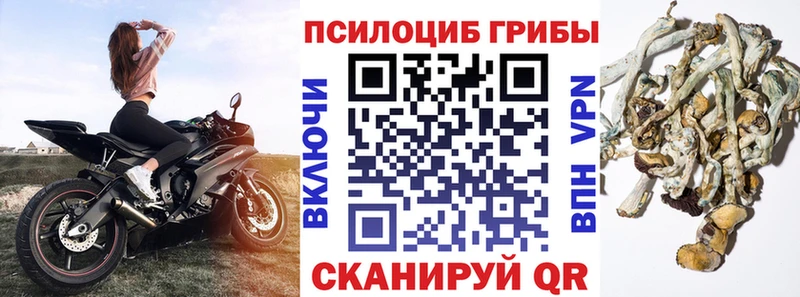 Псилоцибиновые грибы MAGIC MUSHROOMS  Купить закладки  Златоуст 